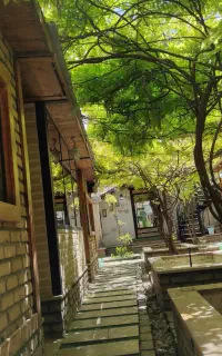 نیروی ساده