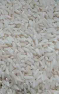 برنج محلی دورود