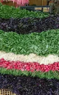پخش عمده سبزی مرادی