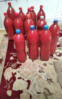 رب تازه محلی