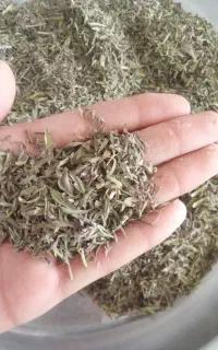 هزوه سومار