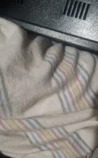 چادر پارس
