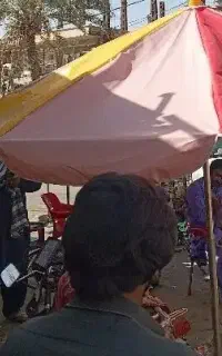 چتر نو