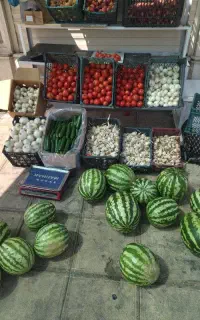 گوجه زیر قیمت میدان