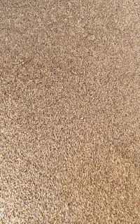 جو وارداتی