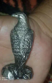 قابل توجه کلکسیونی