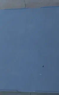 پالت