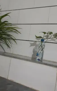 چراغ پراید