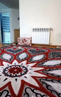 مبل شویی و قالی شویی جلالی