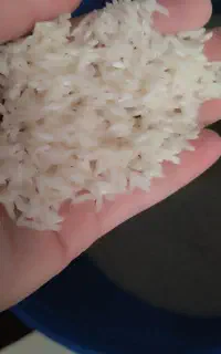 برنج