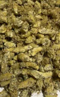 گل بیدمشک درجه 1