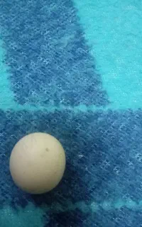 سنگ الماس آسیاب