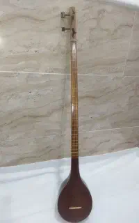 ساز سه تار و میکروفون