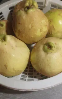 به درجه۱