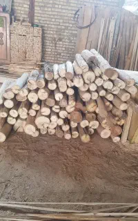 خرید چوب سقفی و سپیدار