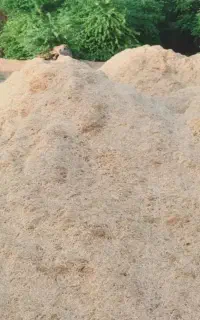 کاه گندم امسالی