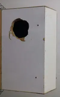 لانه پرنده