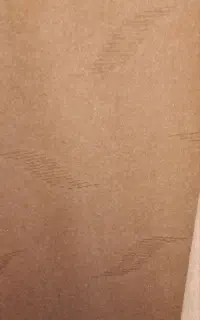 موکت نو