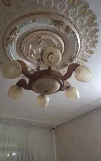 لوستر نونو
