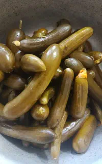 خیارشور