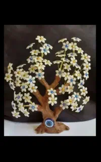 درختچه چشمتظر