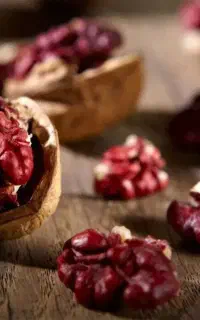 نهال گردو توسرخ
