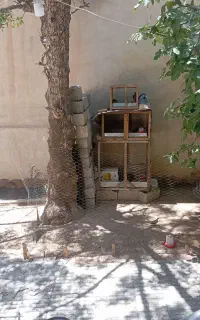 تعدادی قفس
