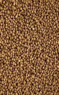 غذای ماهی کپور
