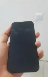 12pro