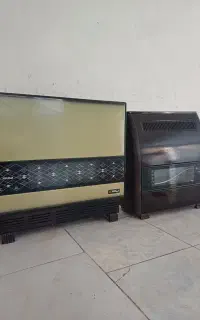 2 عدد بخاری