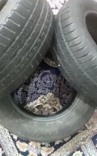 استیک پژو