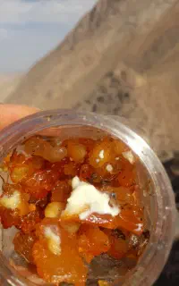 باریجه اشکی.قاسنی.بالنبو