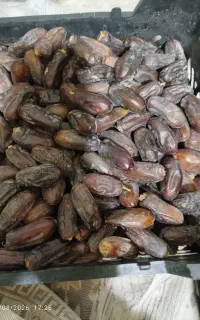 فروش فوری خرما ربی درجه یک