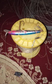 زانه هندی هم خیط هم سیم
