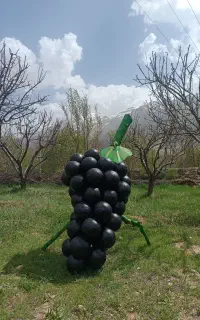 باغ مازیار کهیان