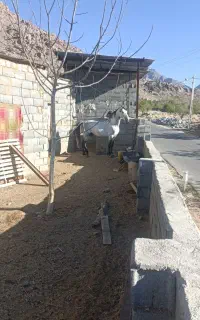 اسب نریان