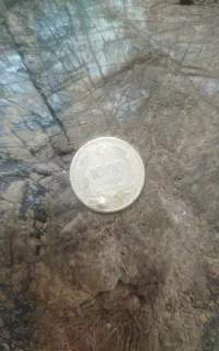 پول،سکه،لیر
