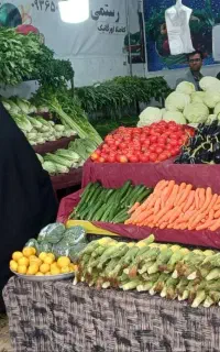 همکار برای سبزی فروشی میدان شهید