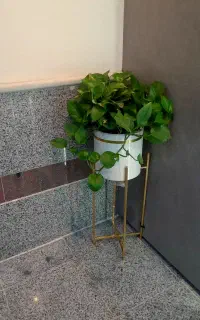 گلدان سفید طلایی زیبا