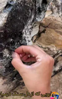 مونایی سیاه معجزه قرن ازدل طبیعت قوای جنسی
