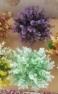 استند و گل
