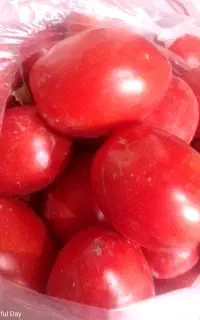 گوجه ربی فله