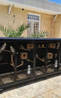 قفس پرنده و حیوان