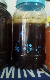 عسل کوهی کوه و درخت به شرط آزمایش مرکز غذا و دارو
