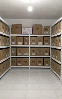 دینام دیگنیتی آریزو x22 تیگو۷ تیگو۵ mvmجکx33چانگان