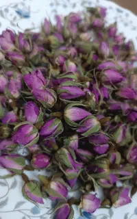 غنچه گل محمدی ارگانیک دست چین
