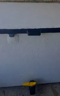 ماهی