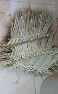 جارومحلی‌.سنتی