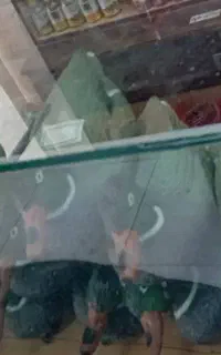لوازم صیادی و شکار