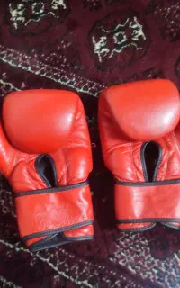 دستکش بوکس در حد نو و یک جفت ساقبنددر حد نو